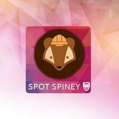 Branded Business Card Boxes