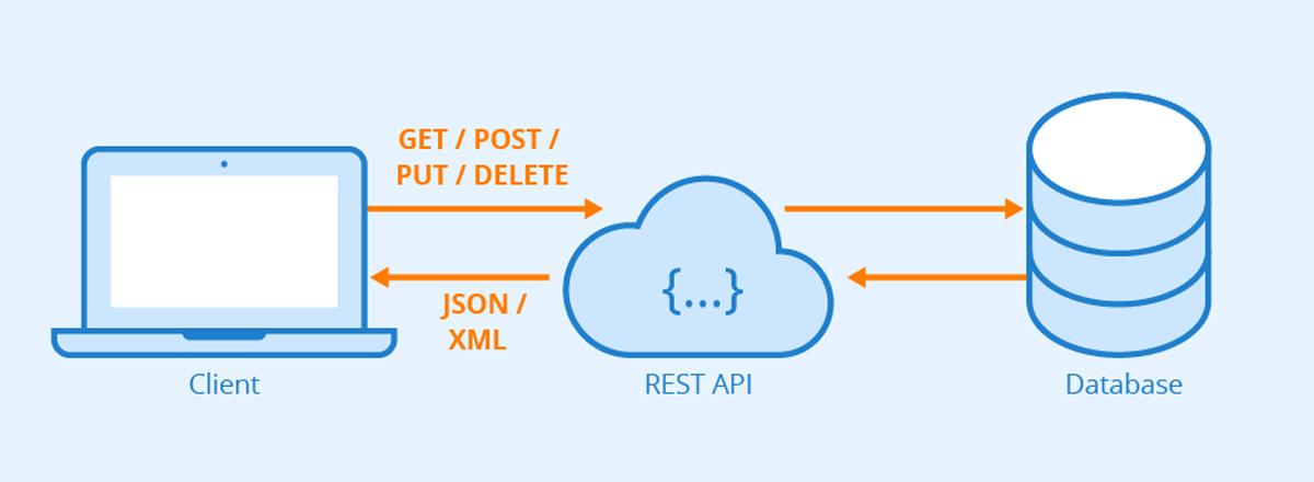 Exploring RESTful APIs in Detail for Website Development